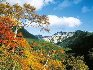 Mt.Tokachidake Autumn leaves Festival