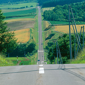 Roller Coaster Road