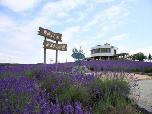 Hinode lavender garden