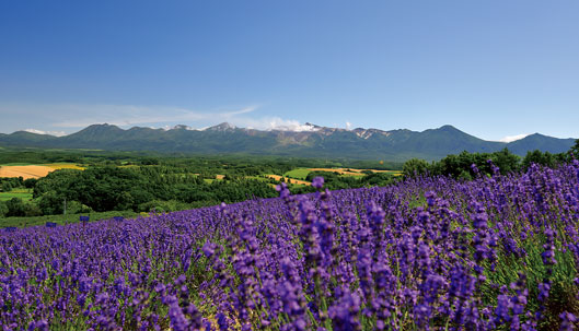 八景スポット2 深山峠の景色