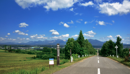 八景スポット4 富良野岳まで続くように感じるの景色