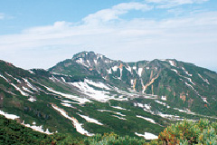 富良野岳岳コースサブ写真