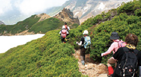 上富良野岳コースメイン写真