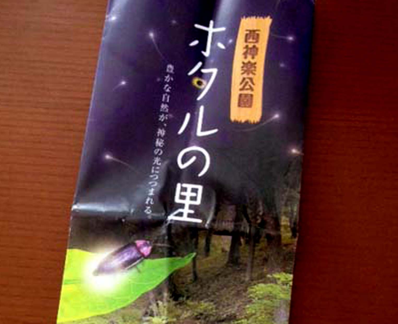 居てもいい居場所 ふゆほたる SEC 1枚 居てもいい居場所 ふゆほたる SEC 1枚 ヴァイスシュヴァルツ 居てもいい