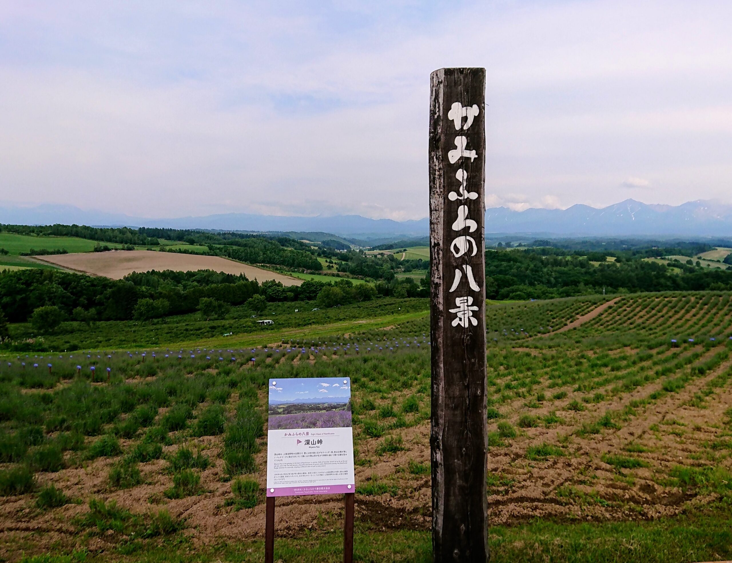 今日も夏日の上富良野！遊び心満載の深山峠エリアをご紹介♪