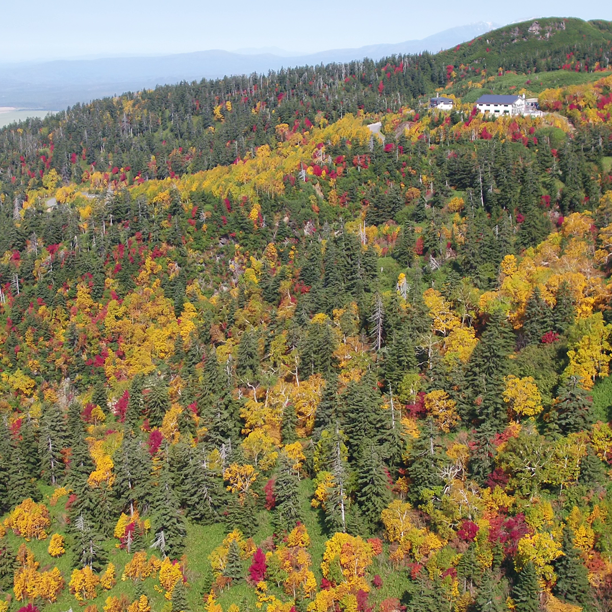 [問題] 北海道道央行程建議