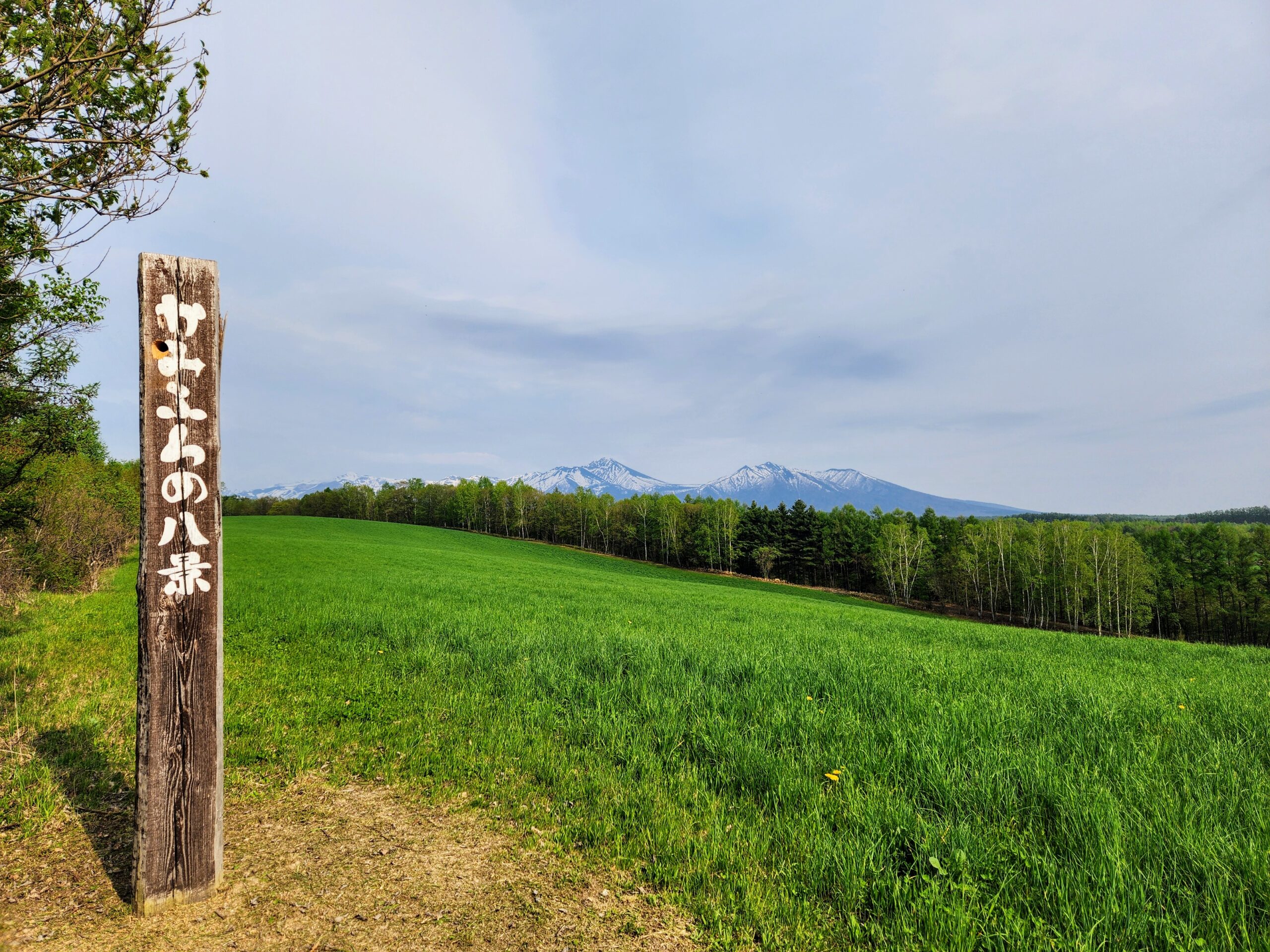 八景巡りしてみませんか？