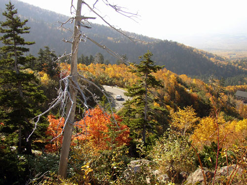 十勝岳温泉郷の紅葉