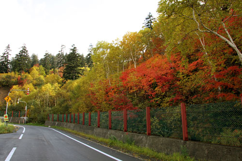 カミホロ荘前紅葉