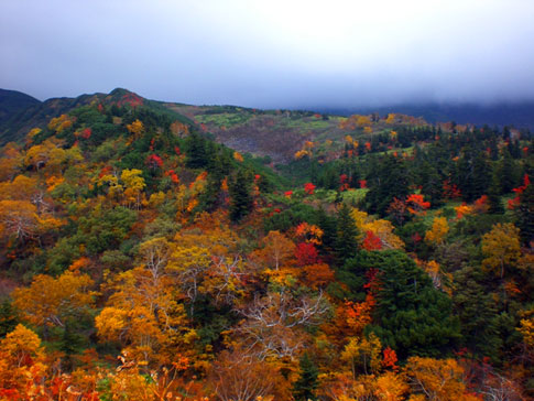 十勝岳の紅葉