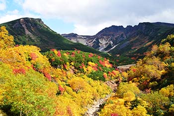 過去の状況写真